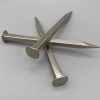 Large Decorative Nail, Nickle - Image 3