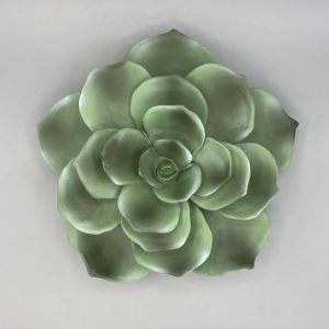 Wall Succulent, Green