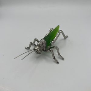 Fancy Bug - Grasshopper