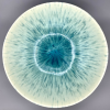Aquamarine Charger, Sm. - Image 2